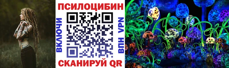 наркотики  МЕГА ONION  Псилоцибиновые грибы MAGIC MUSHROOMS  Сальск 