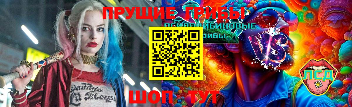 Сальск  Галлюциногенные грибы Cubensis  Галлюциногенные грибы ЛСД  Вход с VPN 